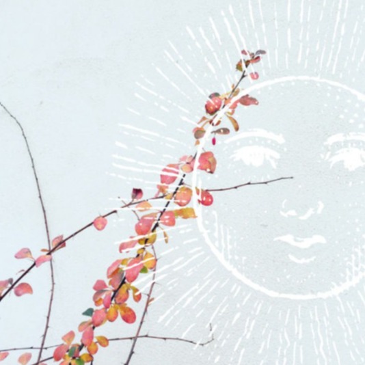 HEY mediendesign Nicole Hey